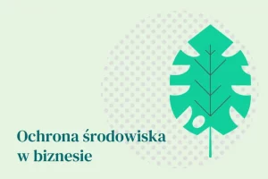 Ochrona środowiska w biznesie
