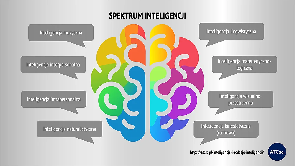 spektrum inteligencji