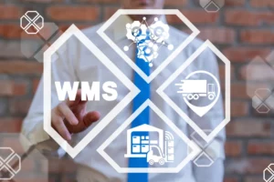 System WMS