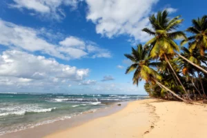 Tropikalna plaża to świetne miejsce na ucieczkę od zimy w Polsce!